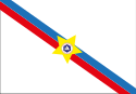 Bandeira - Presidente Figueiredo