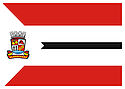 Bandeira - Alagoinhas