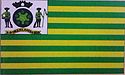 Bandeira - Niquelândia