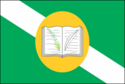 Bandeira - Arari