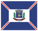 Bandeira - Ponta PorÆ