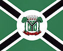 Bandeira - Altamira