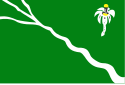 Bandeira - Belo Jardim
