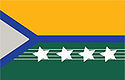 Bandeira - Pimenta Bueno