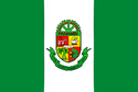 Bandeira - Panambi