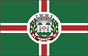 Bandeira - Salvador do Sul