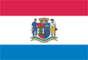 Bandeira - Orleans