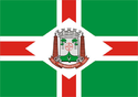 Bandeira - SÆo Bento do Sul