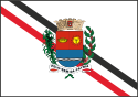 Bandeira - Araras