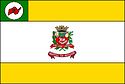 Bandeira - Novo Horizonte