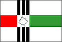 Bandeira - Vinhedo