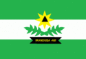 Bandeira - Iranduba
