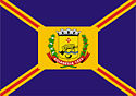 Bandeira - Goianésia