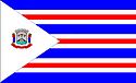 Bandeira - Jacutinga
