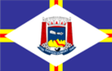 Bandeira - Santos Dumont