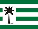Bandeira - V rzea da Palma