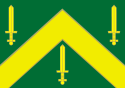 Bandeira - Campina Grande