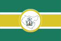 Bandeira - Piripiri