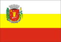 Bandeira - Maring 