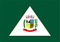 Bandeira - Tijucas do Sul
