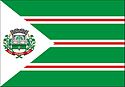 Bandeira - Toledo