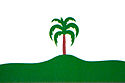 Bandeira - Palmeira das Missäes