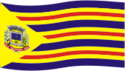 Bandeira - Soledade