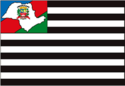 Bandeira - Cachoeira Paulista