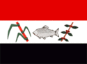 Bandeira - Pirassununga