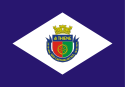 Bandeira - SÆo Caetano do Sul