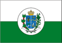 Bandeira - Silveiras