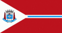 Bandeira - Suzano