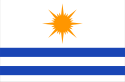 Bandeira - Palmas